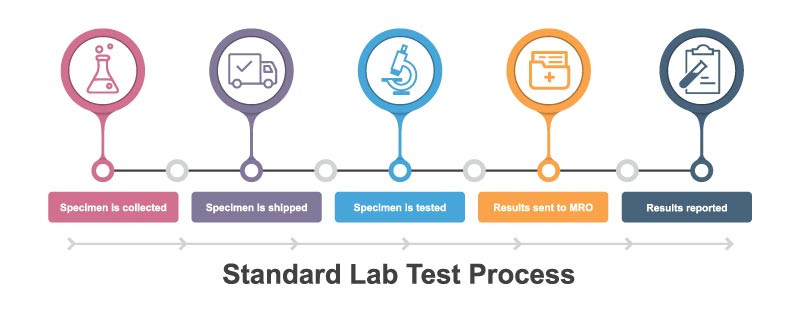 Resources/2/Healthcare_-labs-9.jpg